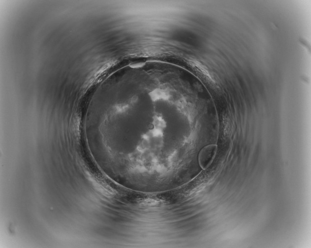 X0000094220542200710261232