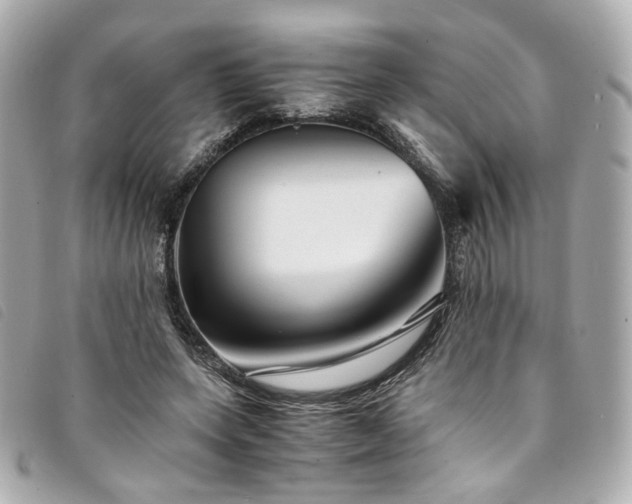 X0000094220543200710261232