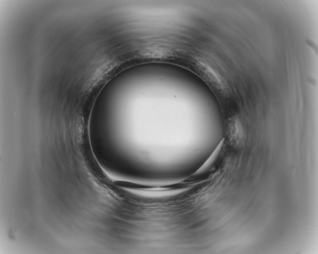 X0000094220544200710261232