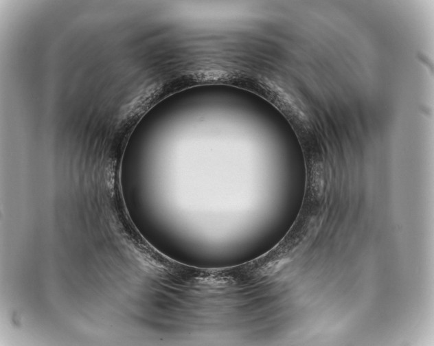 X0000094220545200710261232