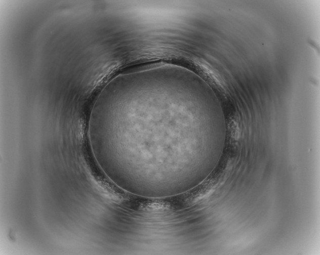 X0000094220546200710261232