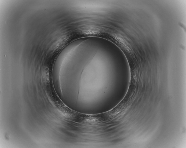 X0000094220547200710261232