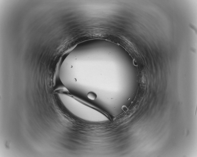 X0000094220552200710261232