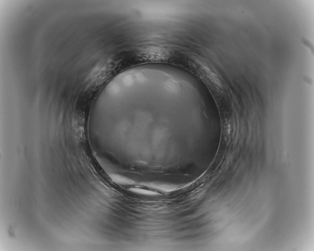 X0000094220553200710261232