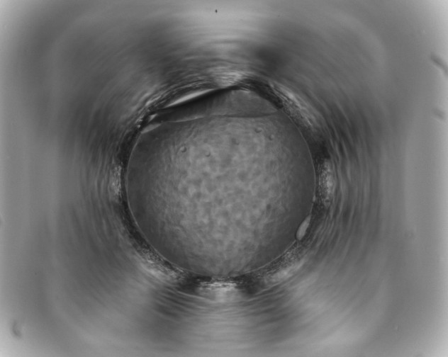 X0000094220554200710261232