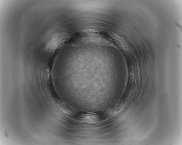 X0000094220555200710261232