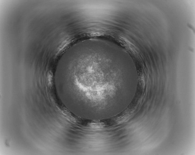 X0000094220556200710261232