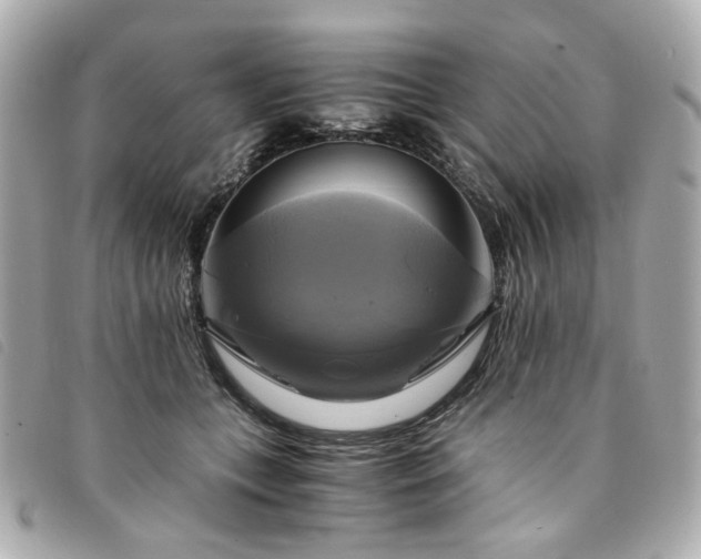 X0000094220559200710261232