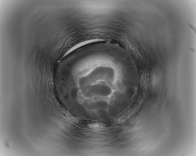 X0000094220561200710261232