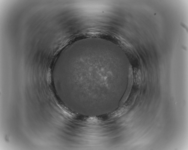 X0000094220562200710261232