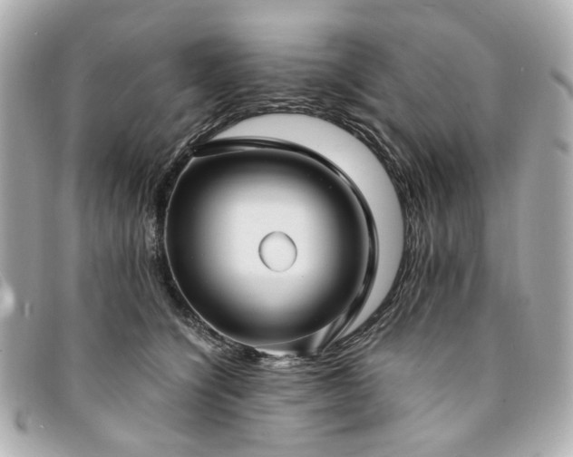 X0000094220564200710261232