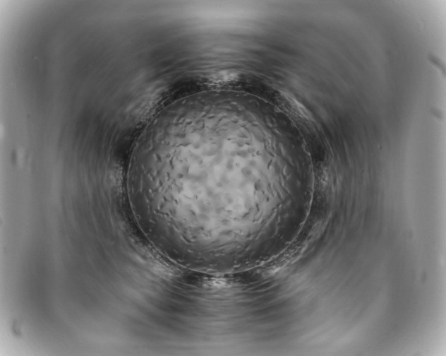 X0000094220565200710261232