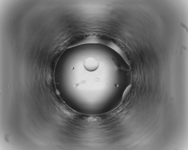 X0000094220566200710261232