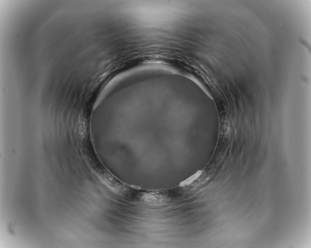 X0000094220568200710261232