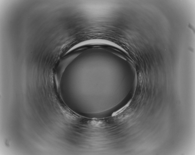 X0000094220570200710261232