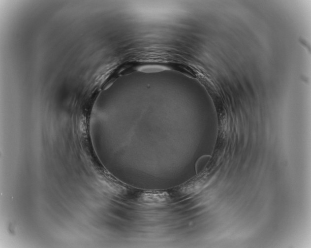 X0000094220571200710261232