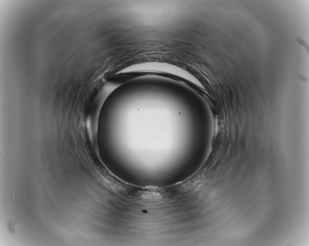 X0000094220572200710261232