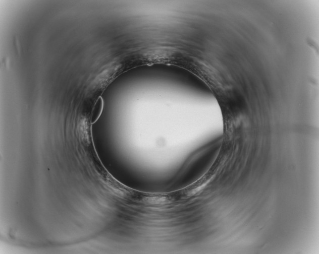 X0000094220575200710261232