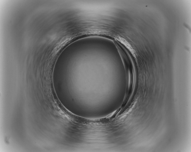 X0000094220577200710261231