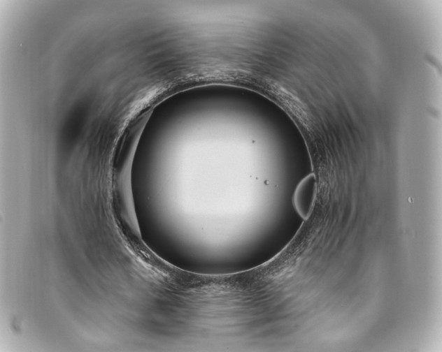 X0000094220578200710261231