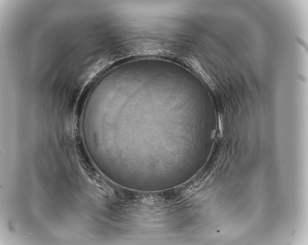 X0000094220579200710261231