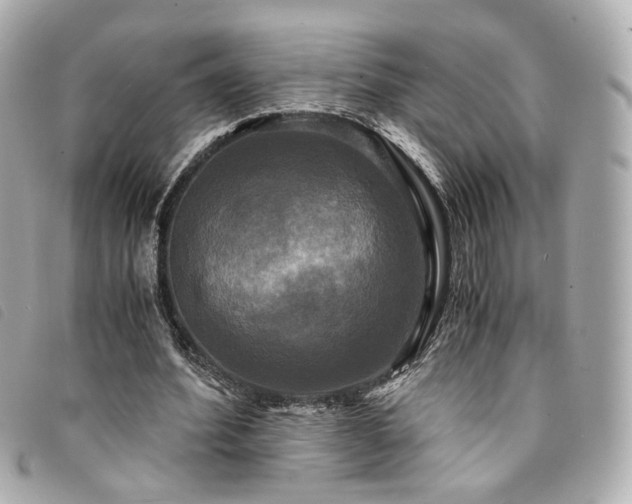 X0000094220580200710261231