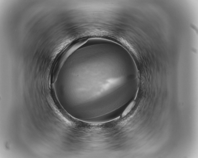 X0000094220581200710261231