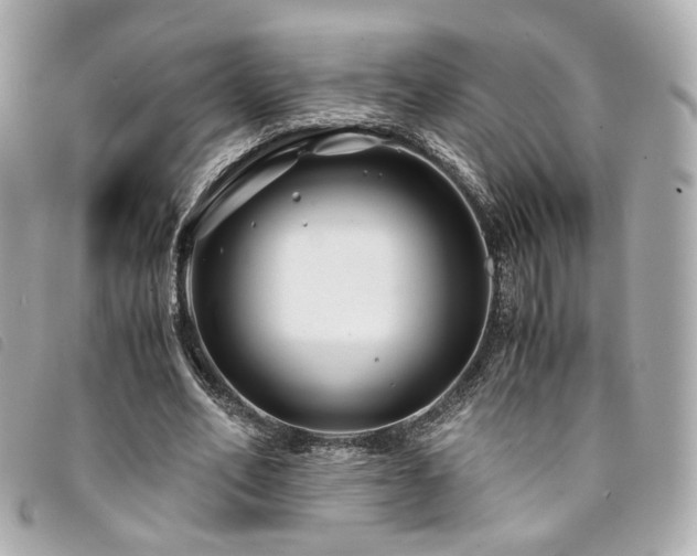 X0000094220582200710261231