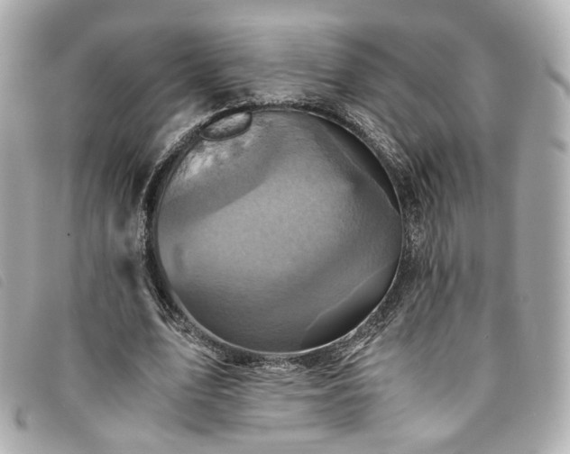 X0000094220583200710261231