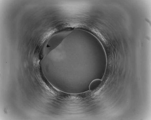 X0000094220585200710261231