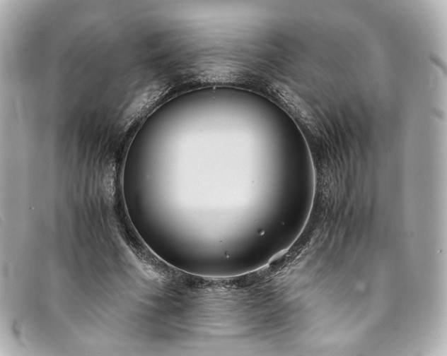 X0000094220586200710261231