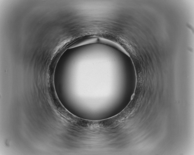 X0000094220587200710261231