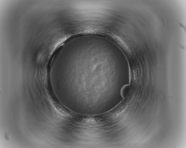 X0000094220588200710261231