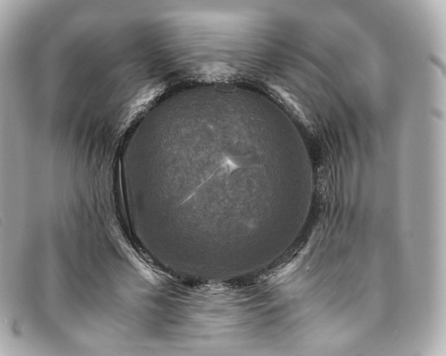 X0000094220589200710261231