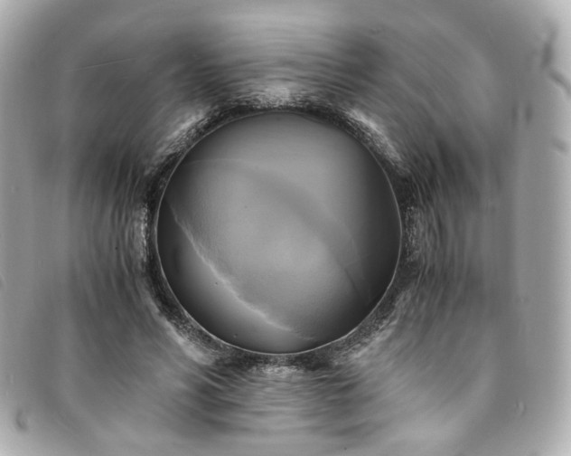 X0000094220590200710261231