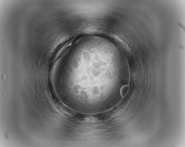 X0000094220591200710261231