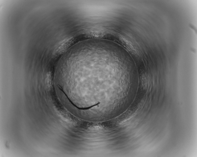 X0000094220594200710261231