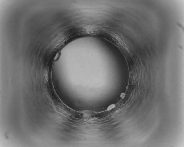 X0000094220595200710261231