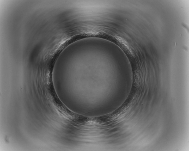 X0000094220596200710261231