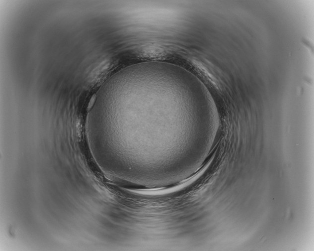 X0000094220597200710261231