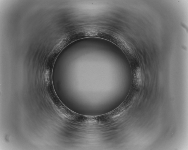 X0000094220598200710261231