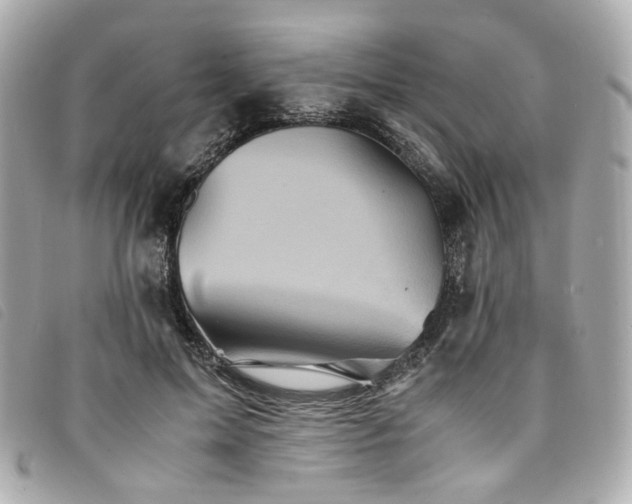 X0000094220599200710261231