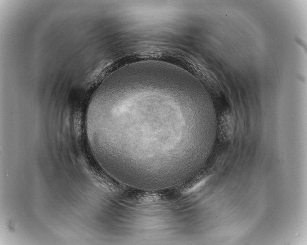 X0000094220600200710261231