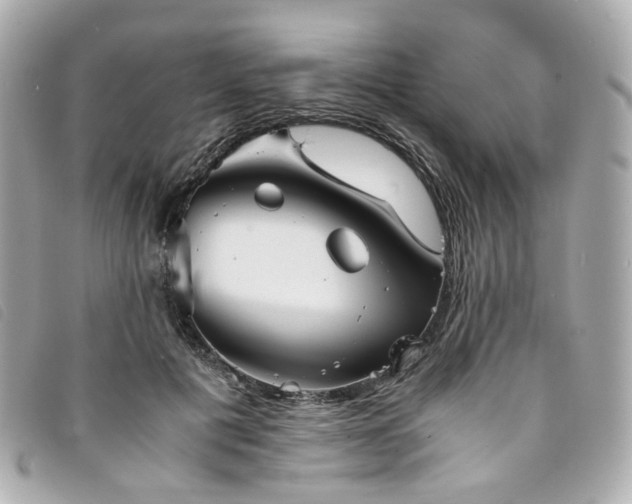 X0000094220601200710261231