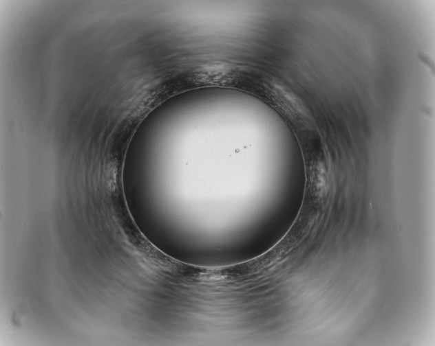 X0000094220602200710261231