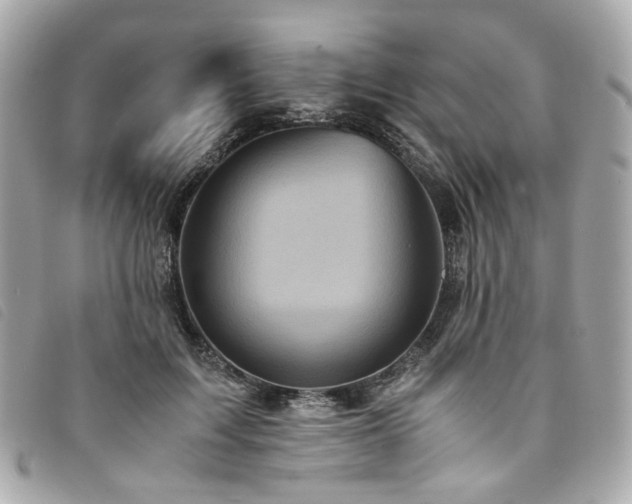 X0000094220603200710261231