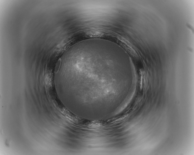 X0000094220604200710261231