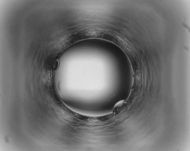 X0000094220605200710261231