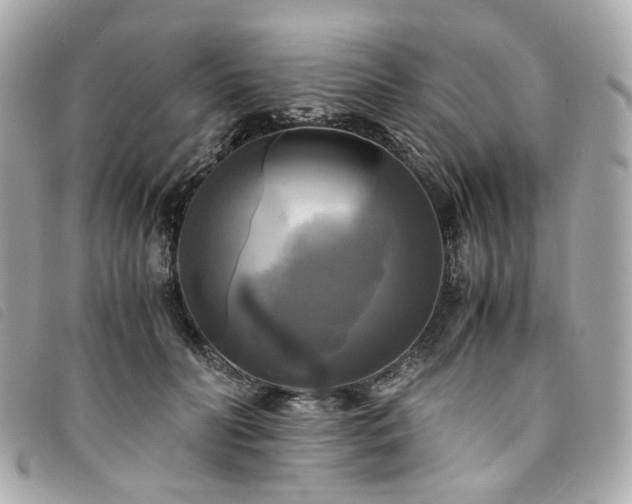 X0000094220606200710261231