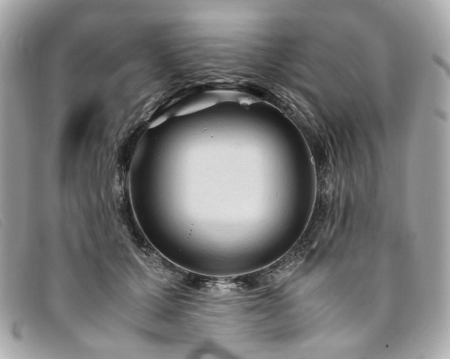 X0000094220607200710261231